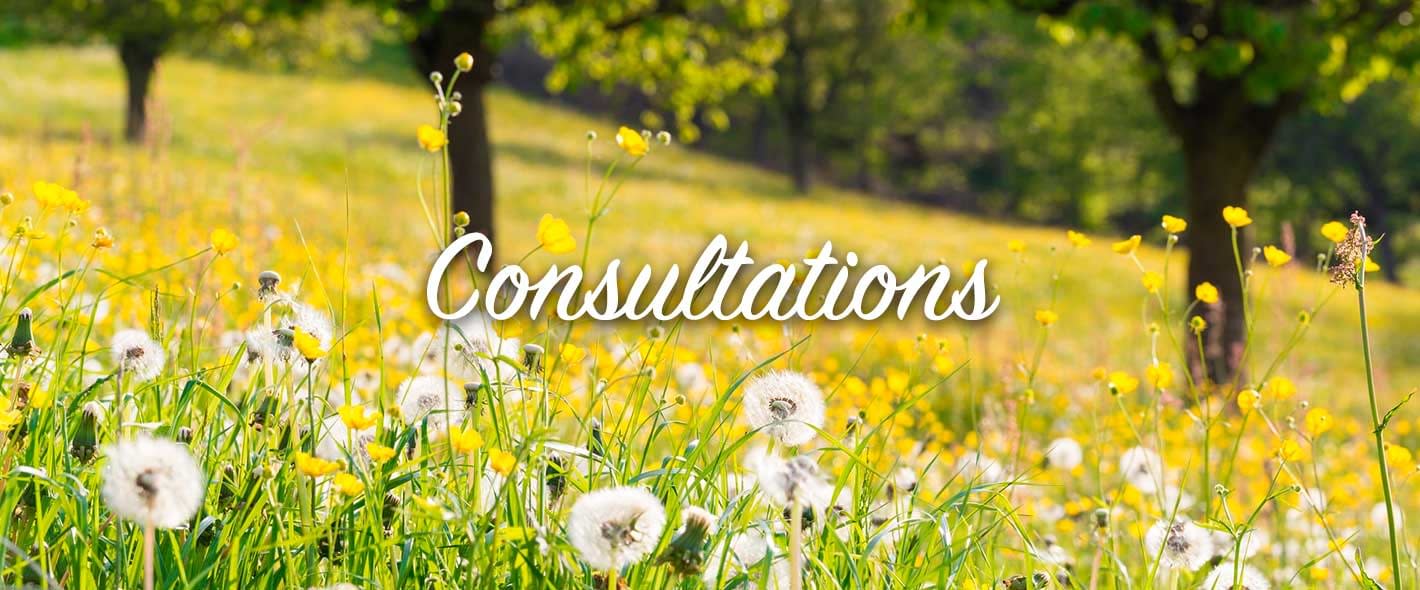 STELLA DUMAR - consultations